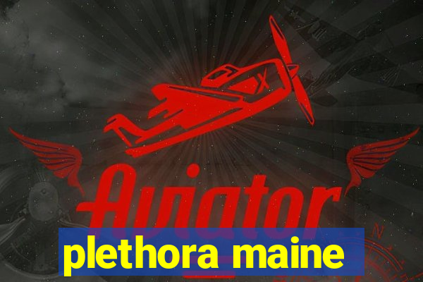 plethora maine